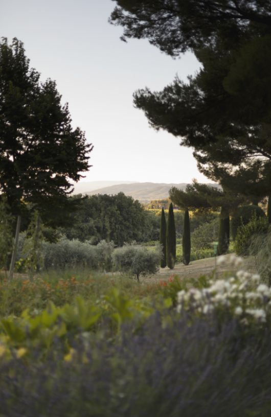 Domaine Château La Verrerie