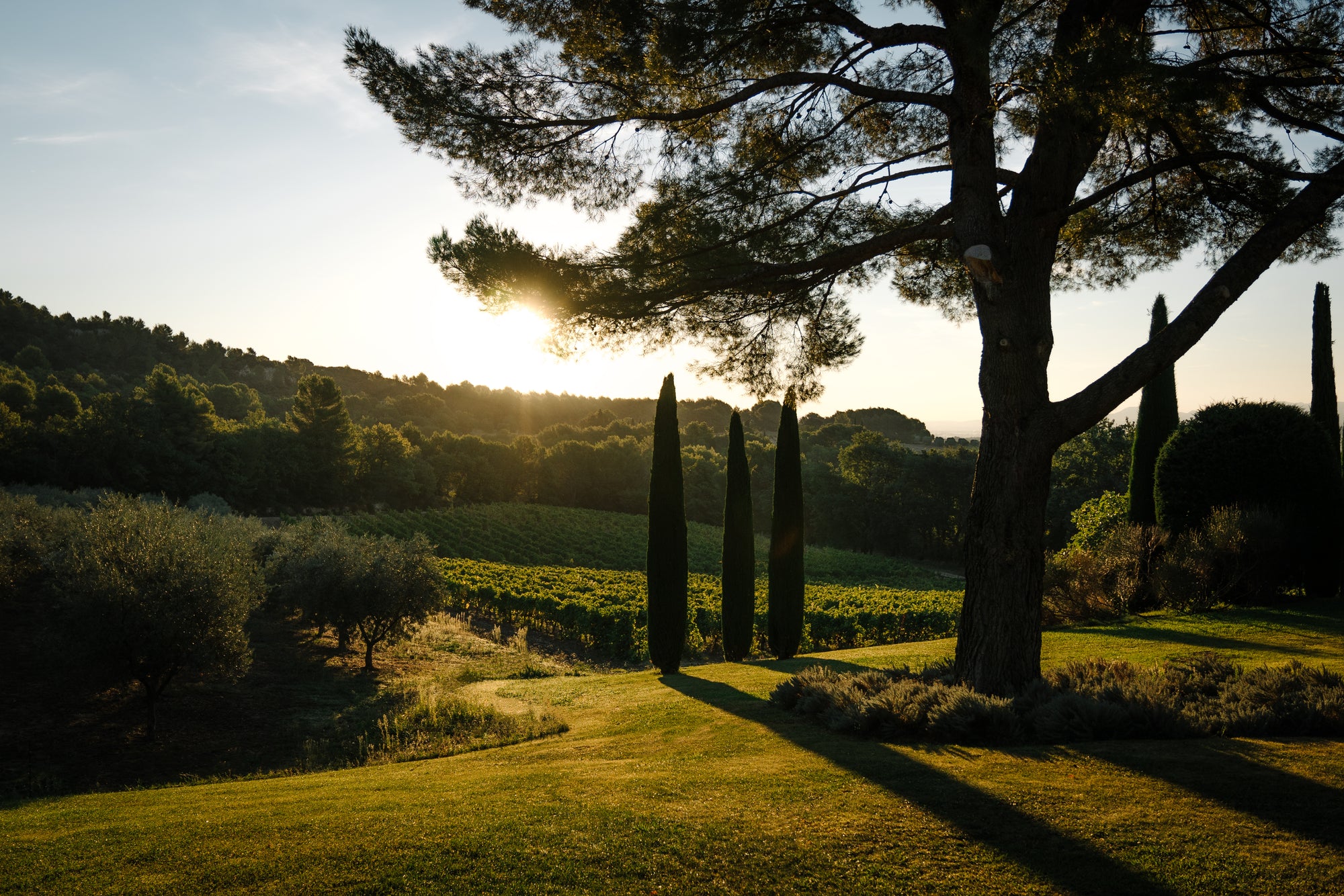 WINE & DINE 2021