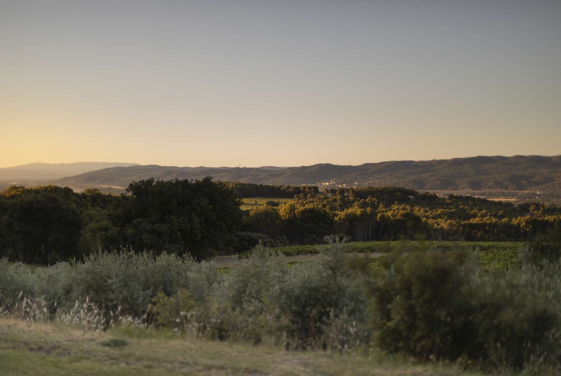 Terroir Chateau La Verrerie